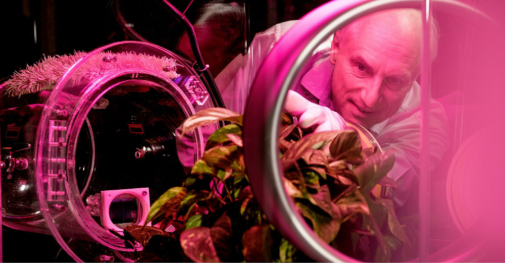 Man in a lab coat looks into a pink jar containing a plant