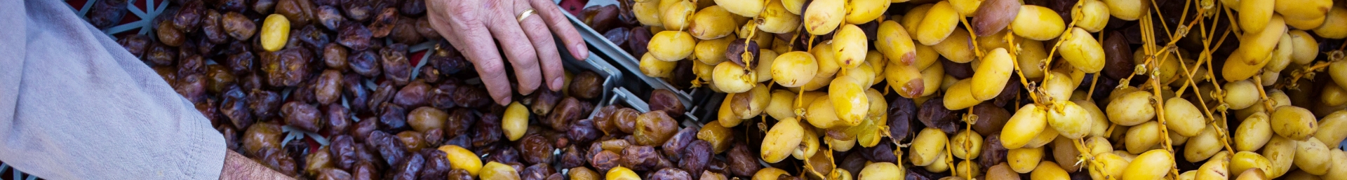 Pile of dates